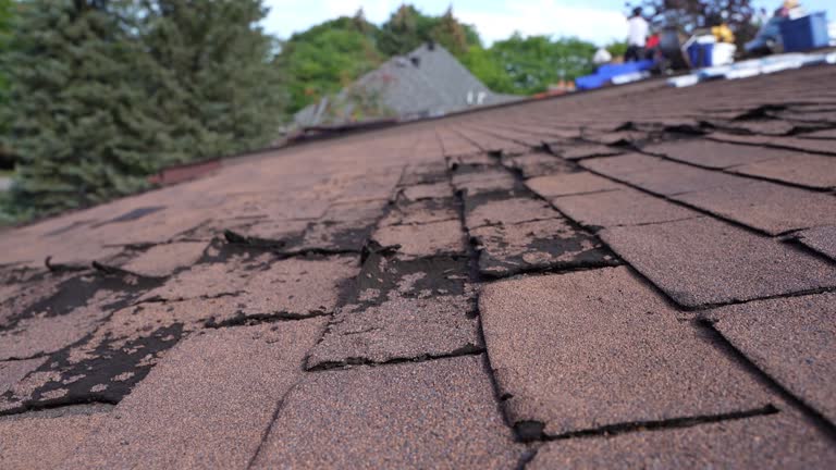 Best Hot Roofs  in Croswell, MI
