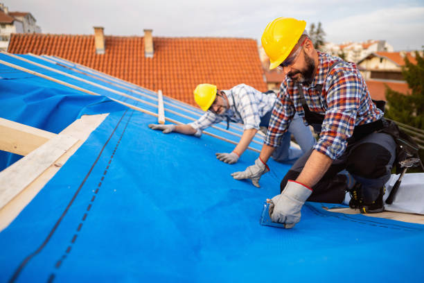 Best Roof Installation  in Croswell, MI