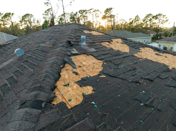 Best Roof Moss and Algae Removal  in Croswell, MI