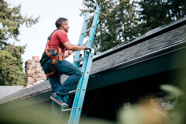 Best Roof Maintenance and Cleaning  in Croswell, MI