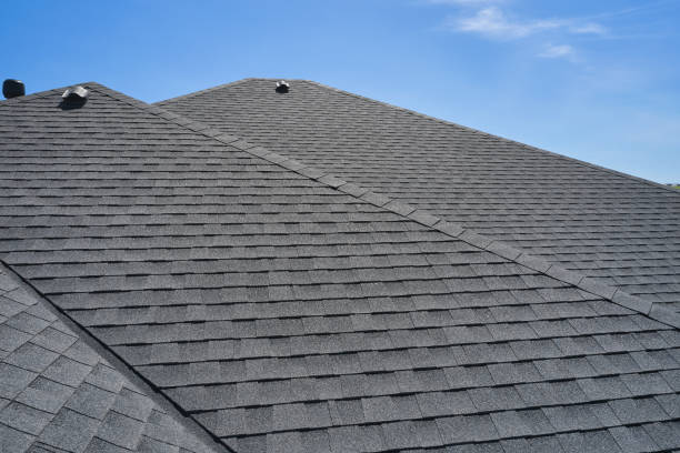 Best Flat Roofing  in Croswell, MI